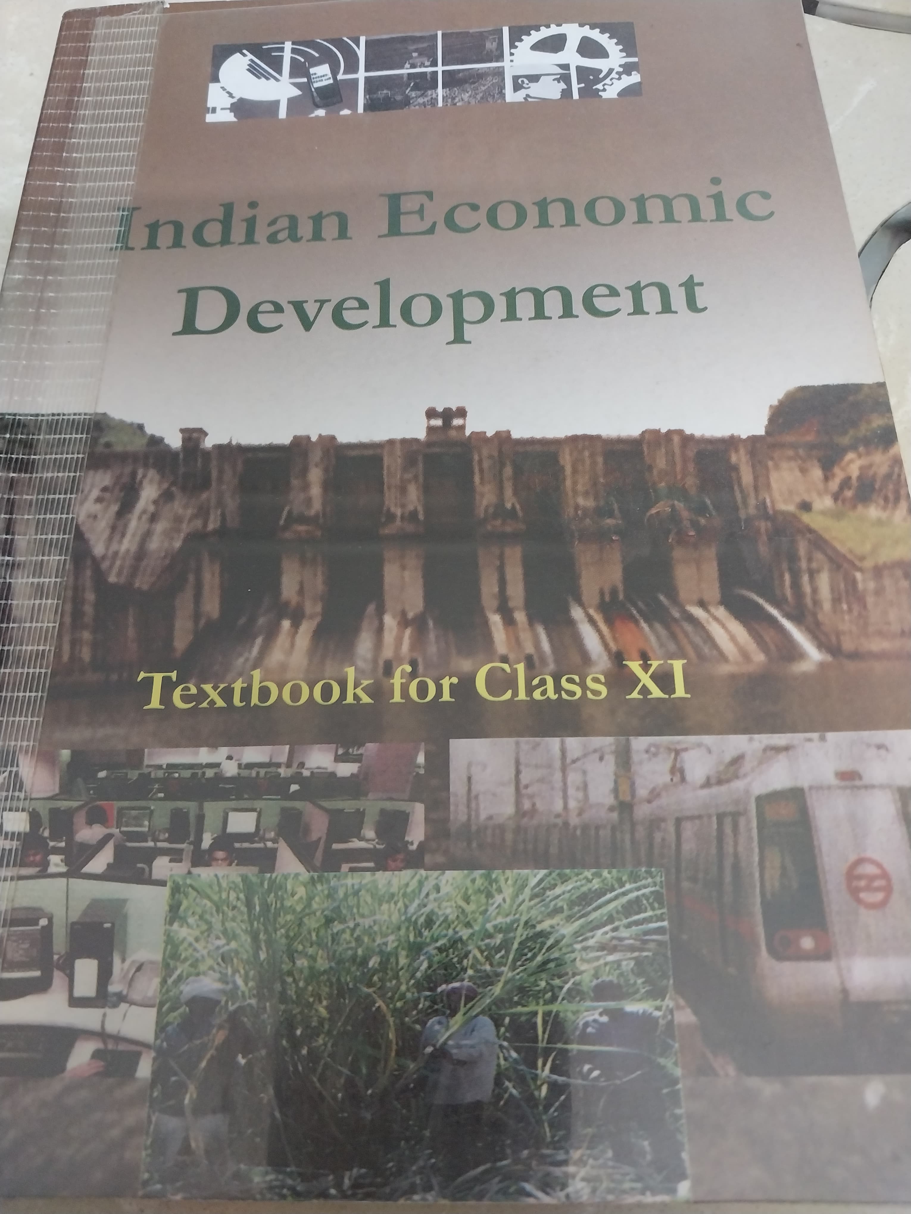 Indian Economic Development