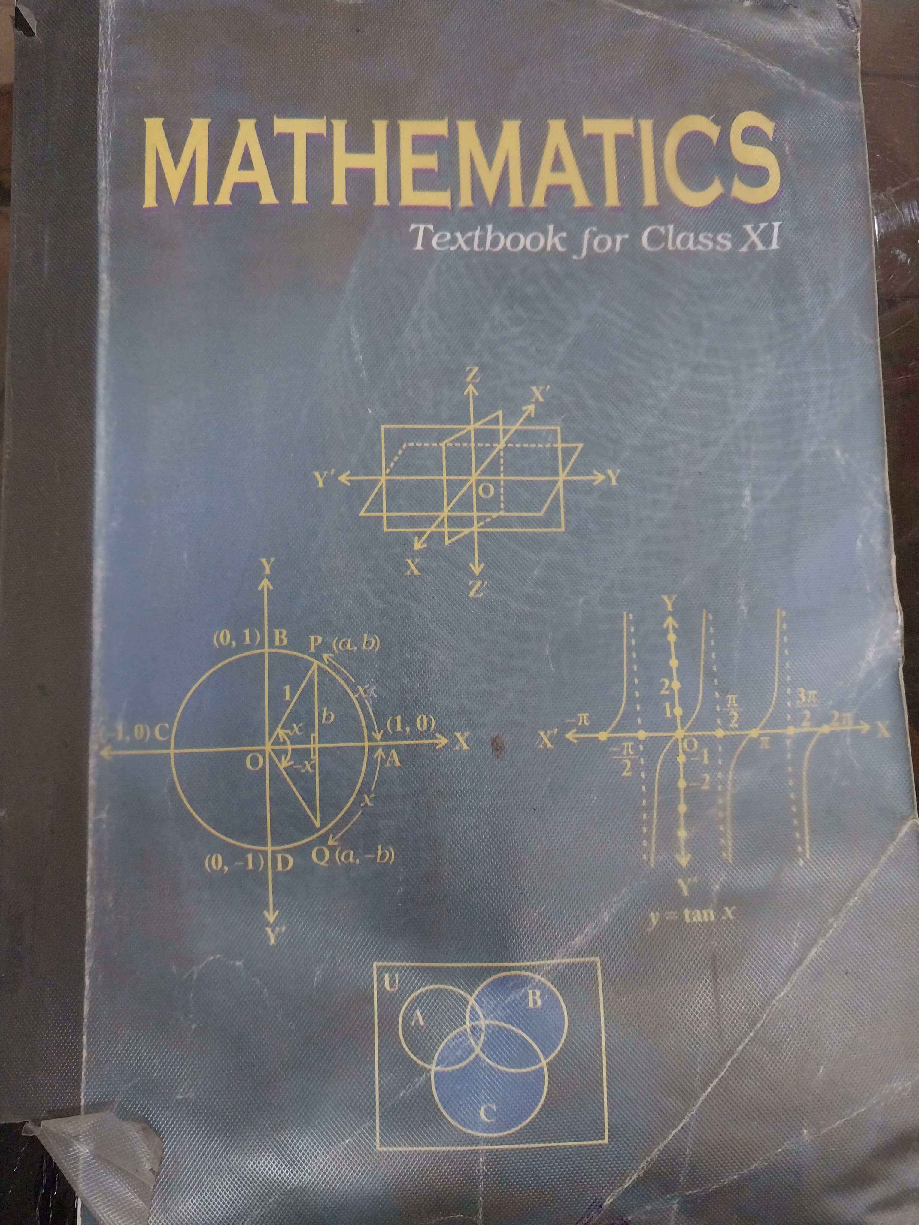 Mathematics [Textbook for Class XITH]